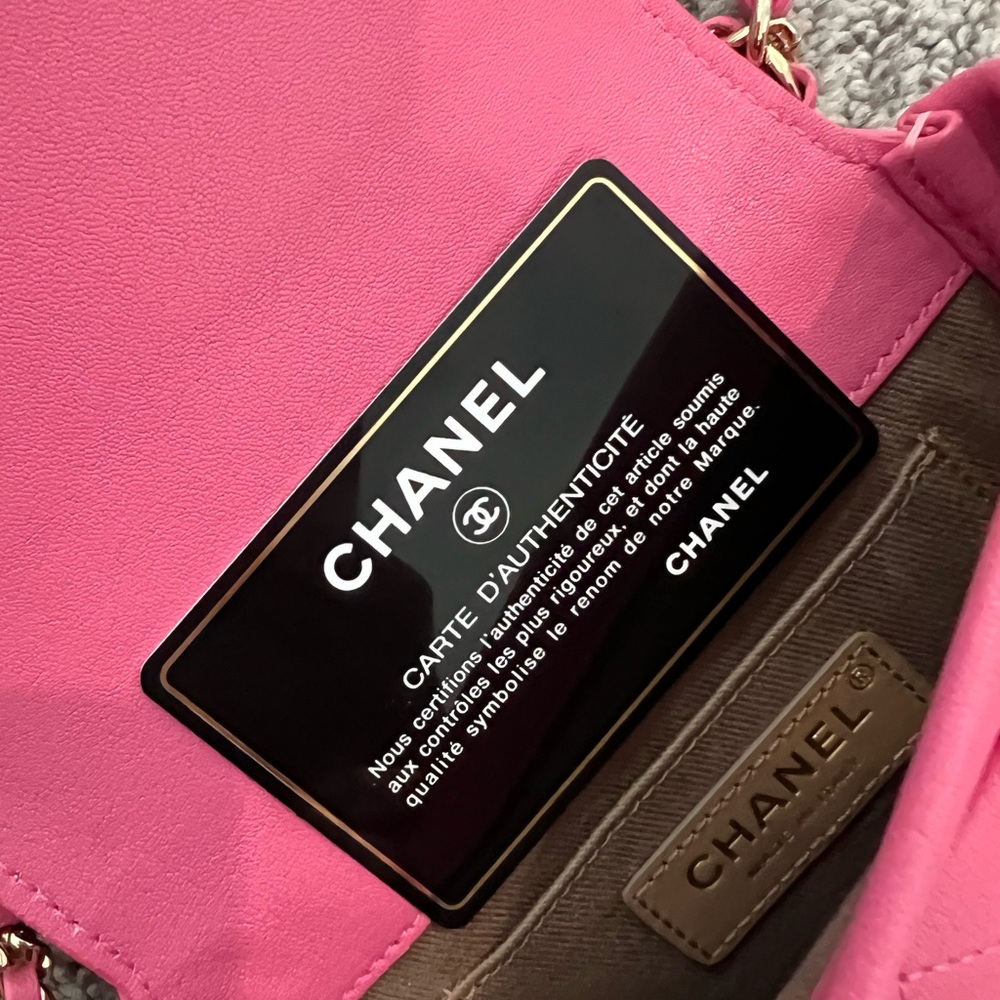 CHANEL Pink Crossbody Bag with Gold-Tone Closure - Picture 3 of 9